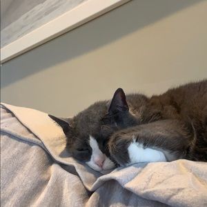 Meet your Posher, Nicole